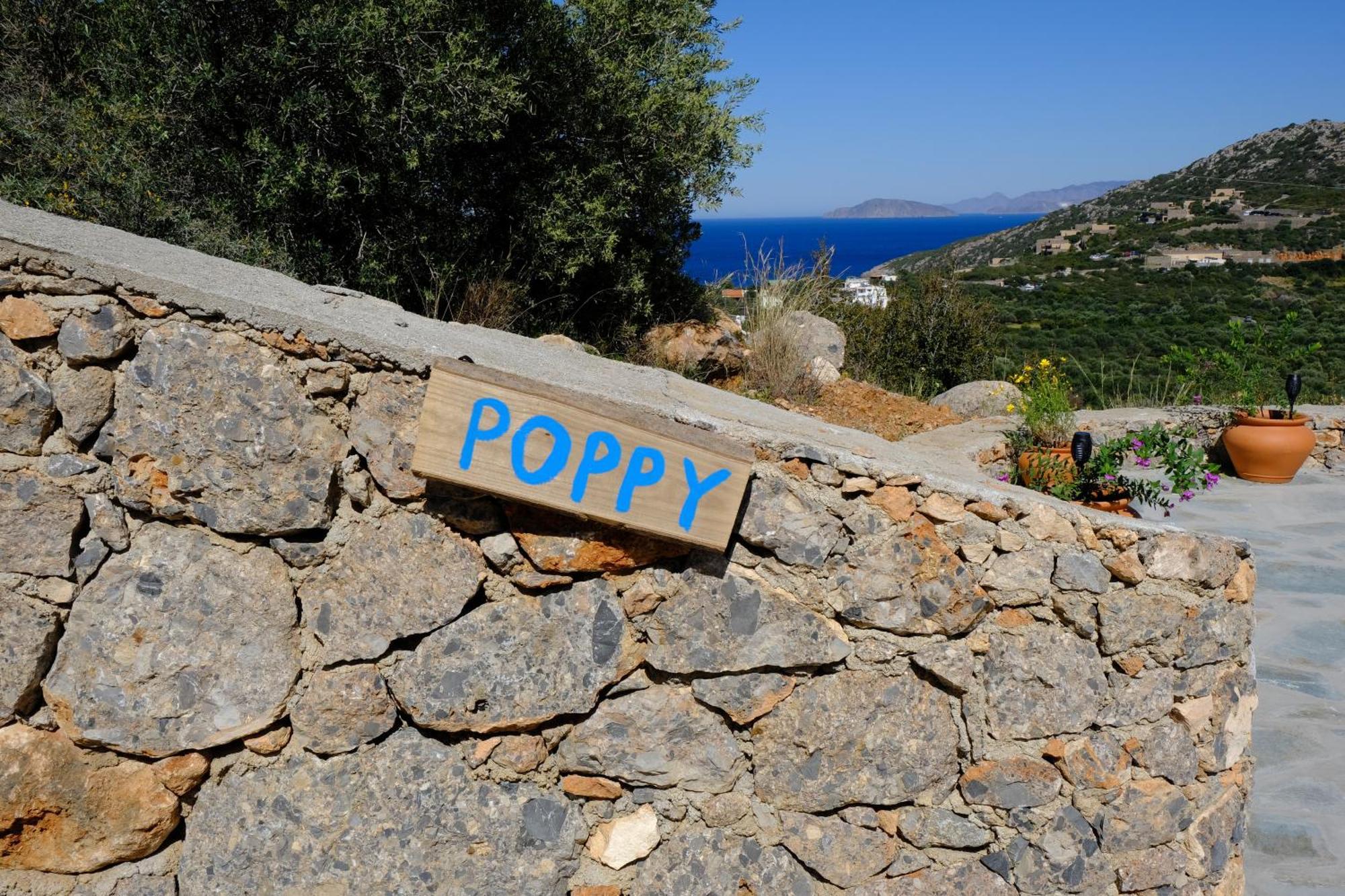 Villa Poppy Vathí Eksteriør billede